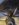 D7B475EF-F42D-40E0-AFEE-87EC2E4CEEB3.jpeg