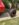 115825804_3823410224341204_7368926746101530060_n.jpg