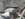 98867A05-36E5-4014-AD32-F1FFB46B78EE.jpeg