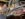 IMG_4975.jpeg