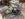 9DADDA6E-F96F-4D27-91EC-1781E14B2028.jpeg