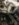 2C0FEF09-1EEE-4D29-A189-73E08E5A422A.jpeg