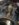 91885F80-F28D-4495-BAD4-6B1C5FC3D9B7.jpeg