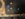 IMG_5047.jpeg