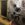 IMG_5202.jpeg