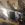IMG_5204.jpeg
