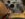 IMG_5207.jpeg