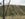 IMG_0747.jpeg