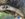 2C45E42A-2909-40E0-ABE8-D1551959F943.jpeg