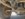 116102288_1667460876755356_6061695526295980242_n.jpg 116102288_1667460876755356_6061695526295980242_n.jpg