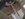 116071358_327182948438102_152890778738072136_n.jpg