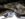 116153552_3010684269058822_204697866700586037_n.jpg