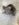 77D190EC-69BE-4B67-85E1-63BF822F155E.jpeg