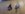 20200731_165037.jpg