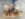UNADJUSTEDNONRAW_thumb_1a4d.jpg