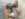 UNADJUSTEDNONRAW_thumb_1aeb.jpg