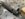 9665660F-1F9B-425F-A0C9-B04B765FD4B9.jpeg