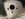 141120EA-6A5B-4CF3-B209-968F61AF5DB7.jpeg