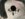 0A2F152F-EA3B-4A4B-A22A-BACC61E812E4.jpeg