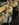 IMG_5234.jpeg IMG_5234.jpeg