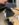 IMG_5242.jpeg IMG_5242.jpeg