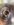 6A648245-E8A5-44C6-905C-1158D9259C19.jpeg