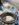32B096EB-A06A-437B-847D-02F8431BE07B.jpeg