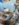 ECA67D4F-1BE2-4A3A-9A80-894A97399A5C.jpeg
