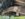 D2360C51-3854-46F2-97BE-480F332F853C.jpeg