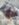EF134504-E13D-4CA2-A650-EDF8B9753F82.jpeg