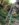 9C83BF33-770E-4058-878B-70DA69E7A991.jpeg