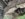 E3B83807-9D04-49F8-B377-373B555F07DC.jpeg