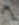 F55CBEB7-06EA-47E8-88BD-6ED99ED739A2.jpeg