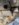2AF3944F-CEC5-4A3A-B5D5-9A7A1D9B6B66.jpeg