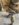 61AC8E51-D1C3-4B89-AD10-17DE9E757CA6.jpeg