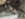 5A496AE0-3C34-4085-9E20-B89561B8F4B3.jpeg