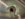 29F24375-DD50-4370-A014-9734C54349F0.jpeg