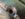 28B967B8-FDF1-44F2-A16B-7ED4C1938DB9.jpeg