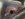 24D90C30-14C2-4A3E-8BD2-0B59FF52D358.jpeg
