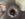 9B1E70DA-7B94-4B17-AF39-30B155E47D25.jpeg