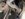 42BEE0DE-B19E-49FF-A43A-1320B639420B.jpeg