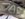 585BFFED-250D-4740-A790-C7B6BE5D555E.jpeg