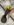 990B9B84-84AA-42F1-84D1-E29E38DB1CBC.jpeg