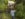 356DB59B-EC71-4FE7-B427-C7FF9169BE32.jpeg