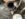6F4F8DA3-9900-4FF4-A846-3D395E523C2B.jpeg