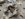 7082F996-D634-465A-8159-6AC140FCF5AE.jpeg