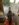 116BA87D-0242-4856-933F-13851357A75E.jpeg