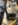 72B02E7B-4AA5-4D2E-969D-B44A13129C84.jpeg
