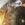 65DDF3B4-7530-40DD-890B-196B6894CB5A.jpeg