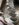 668B7AA4-A4E3-413B-8507-56641F2D88AE.jpeg